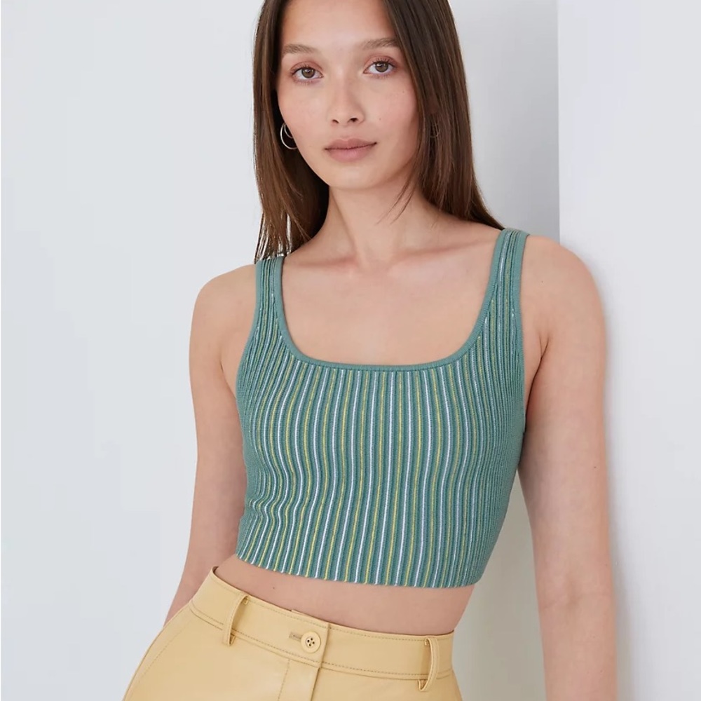 Aritzia Babaton SCULPT KNIT TANK